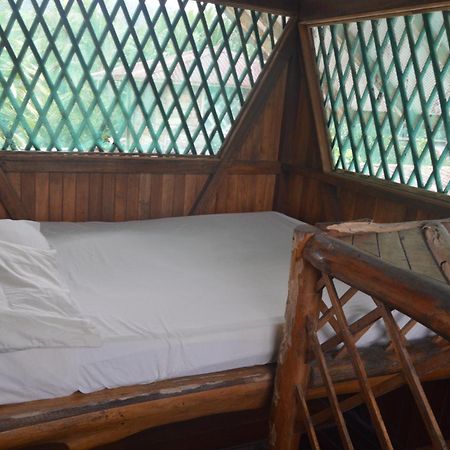 Hotel Puerto Viejo Puerto Viejo de Talamanca Extérieur photo