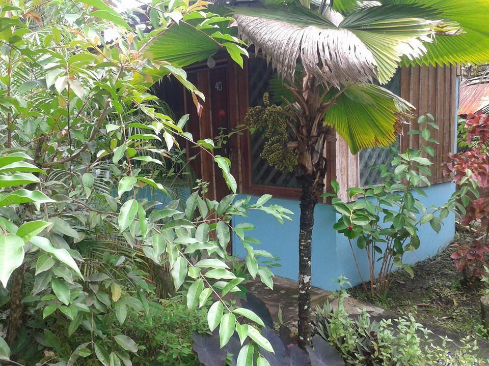 Hotel Puerto Viejo Puerto Viejo de Talamanca Extérieur photo
