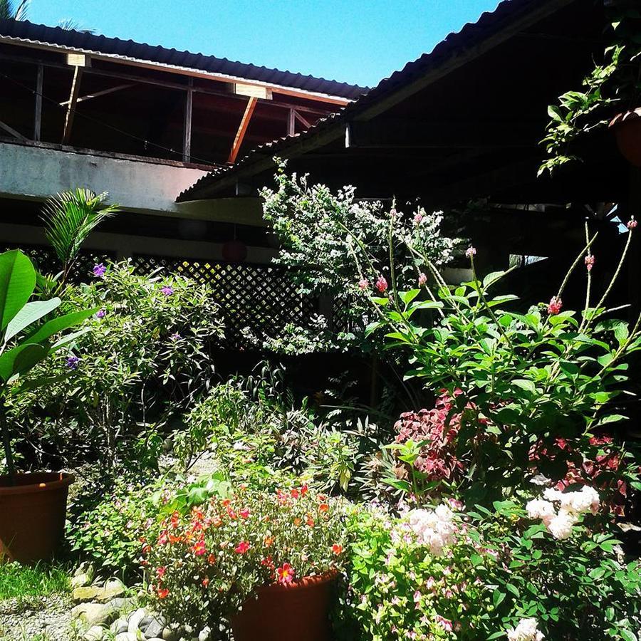 Hotel Puerto Viejo Puerto Viejo de Talamanca Extérieur photo